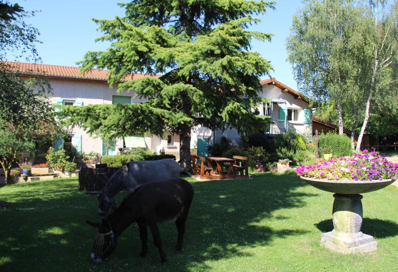 La Ferme De Capucine Bed & Breakfast Culhat Ngoại thất bức ảnh